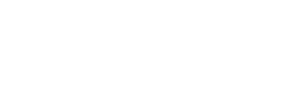 wits-logo-white